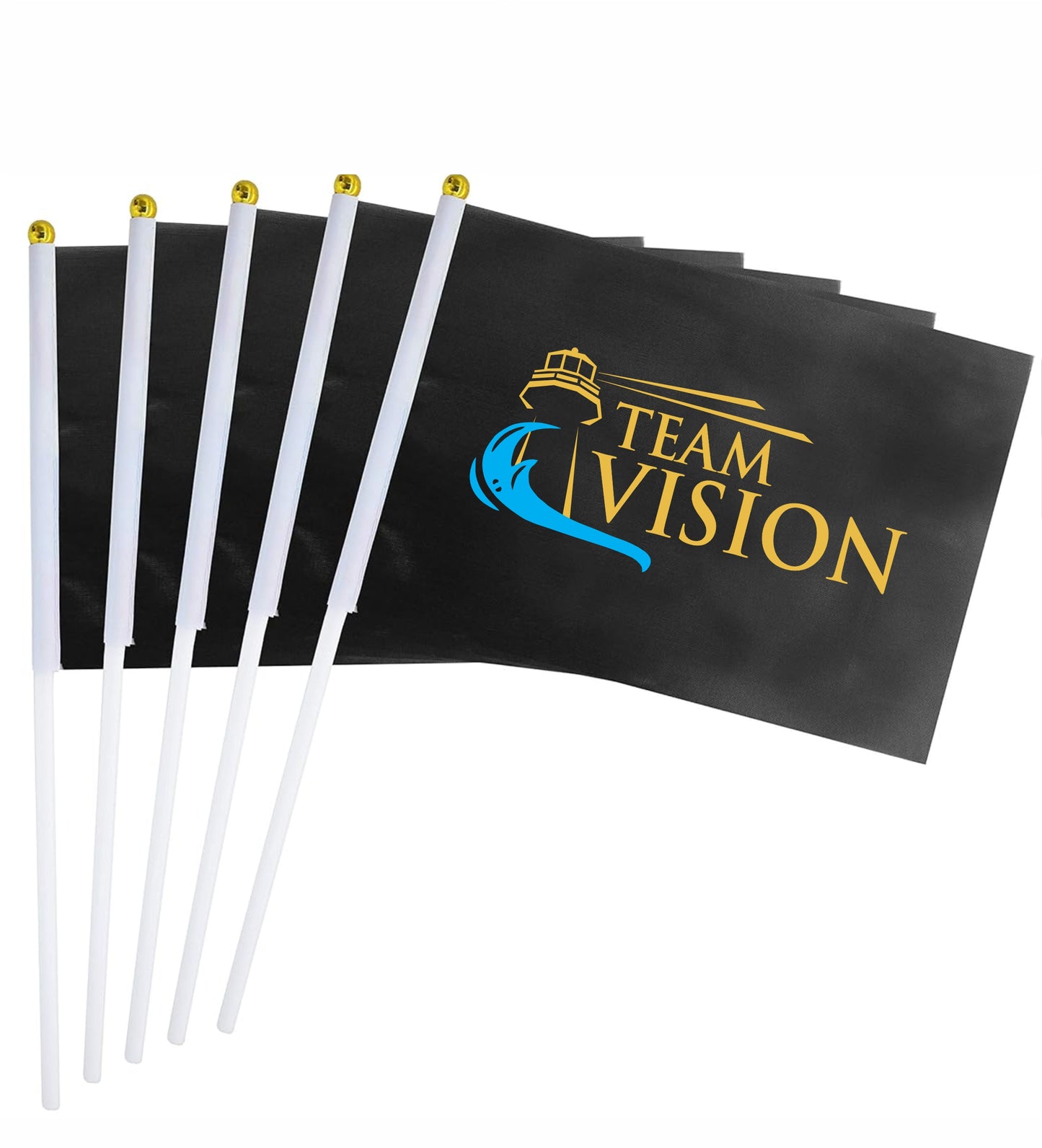 Team Vision 5 Flags