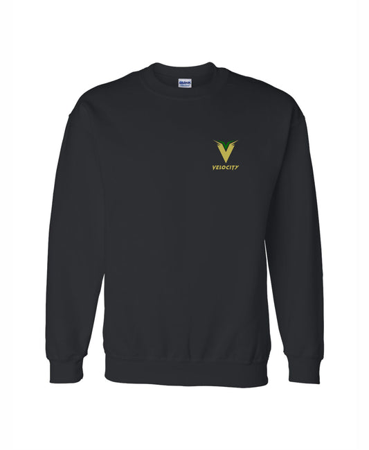 Velocity Unisex Crewneck Printed Sweatshirt