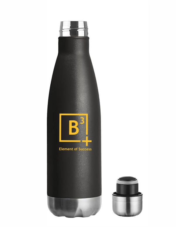 Team B3 Waterbottle