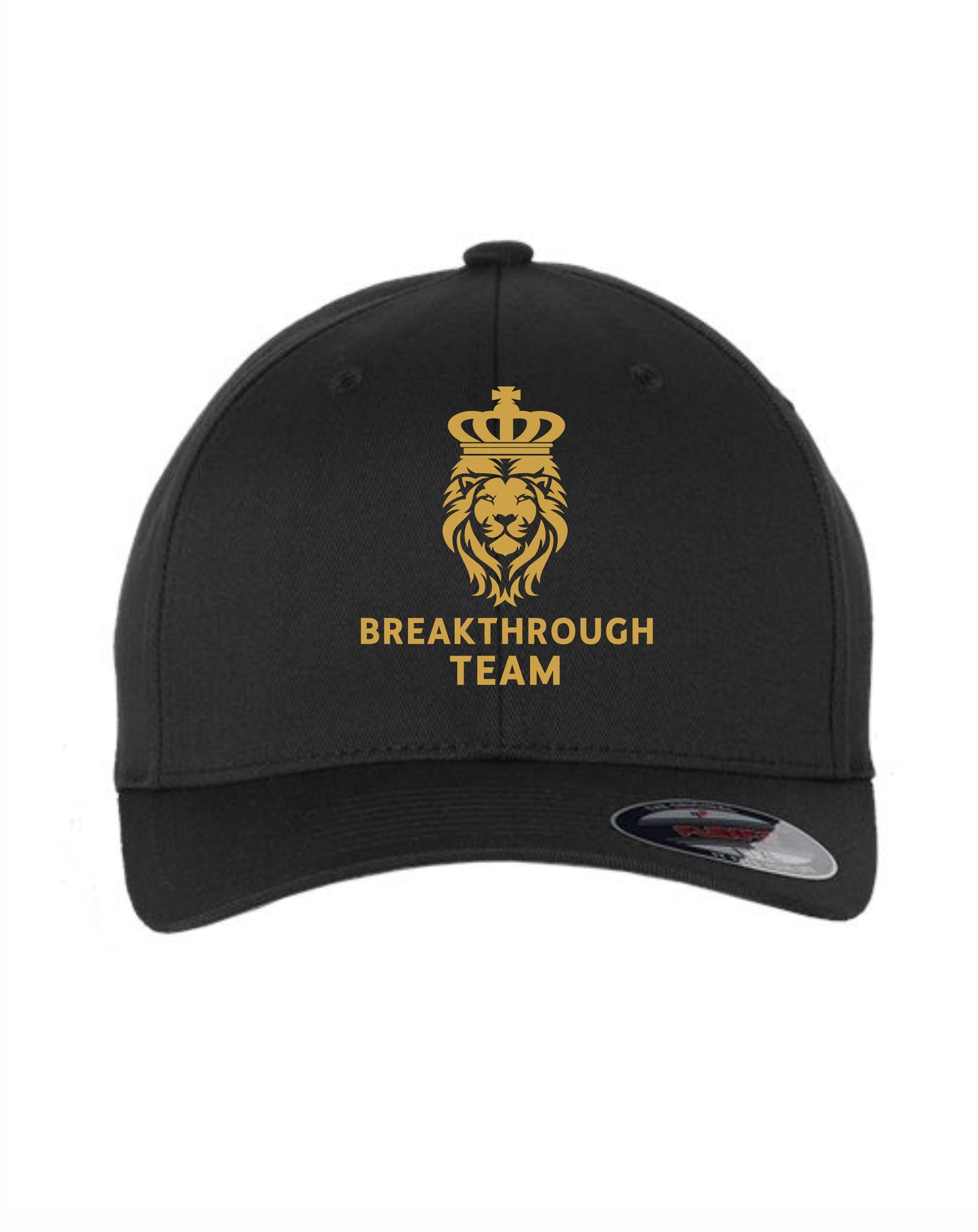 Breakthrough Fitted Hat